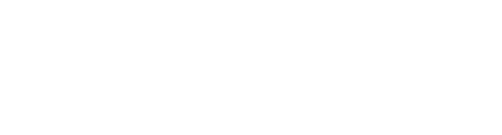 Skip the line logo